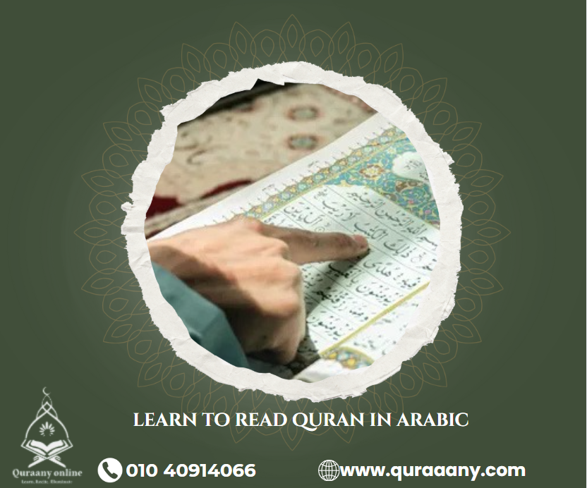 Learn to read Quran in Arabic: How Can You Study the Quran on Your Own?